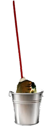 dantebucket.jpg