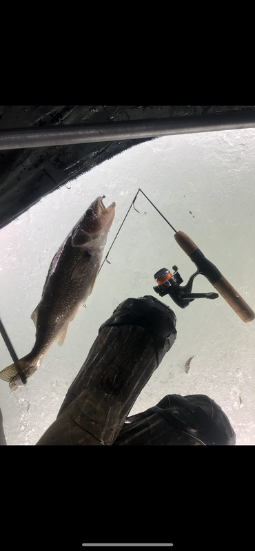 5113A49C-04D6-4969-A067-8B300A8E9EE0