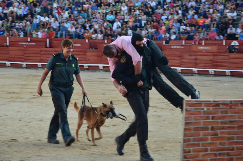 Exhibición Guardia Civil-30-9-2016 - Toledo y sus pueblos-1996/2026 (44)