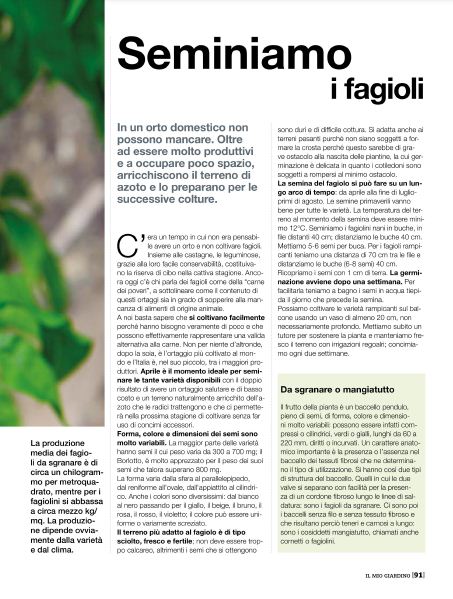 il Mio Giar Apr 2020 (2)