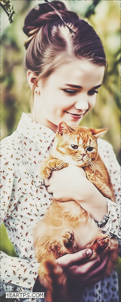 ���� ���� ������ �� ���� ������