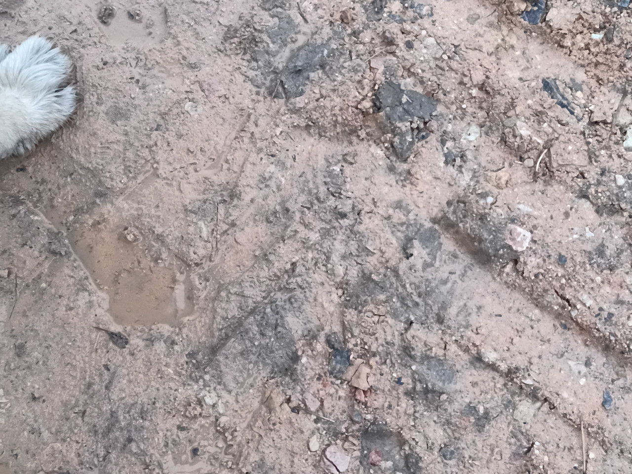 IMG 20251207 152831 437