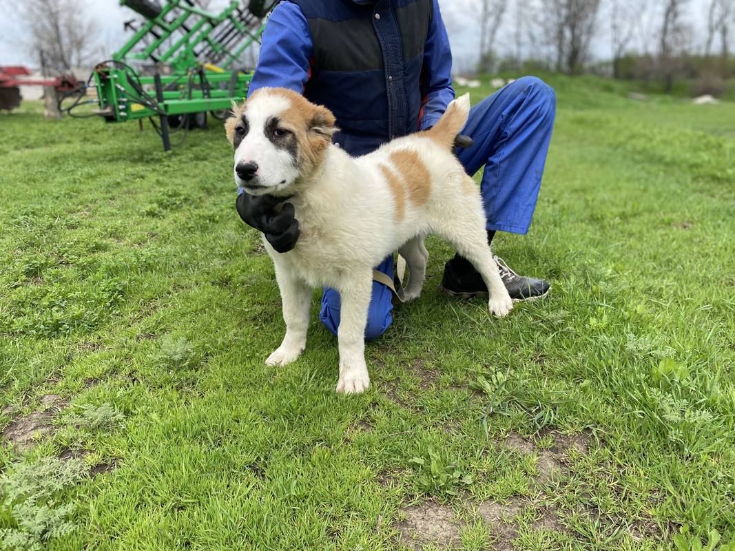 237AB361-3C87-428F-B457-81331D0D194B