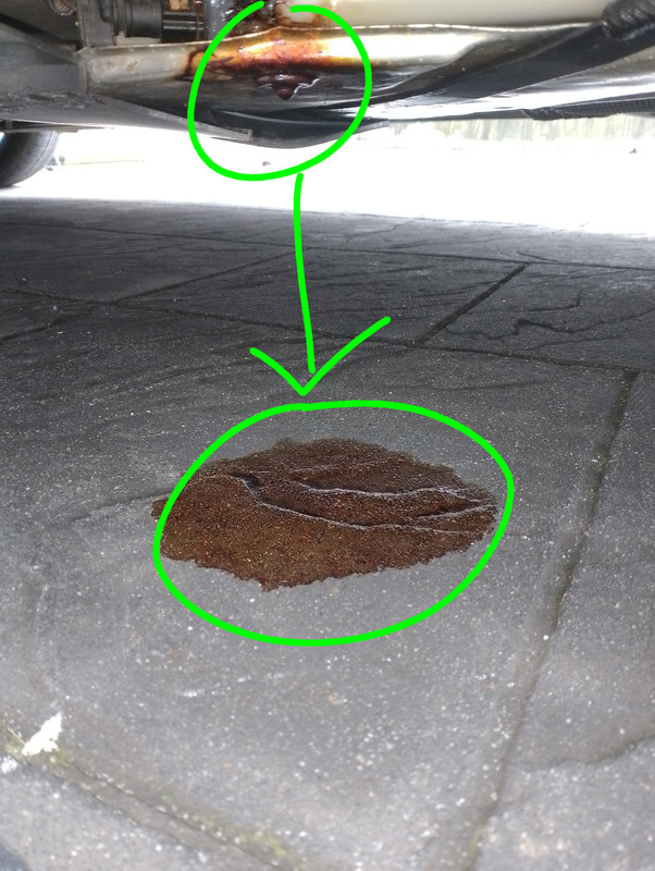 IMG 20251229 130122 2