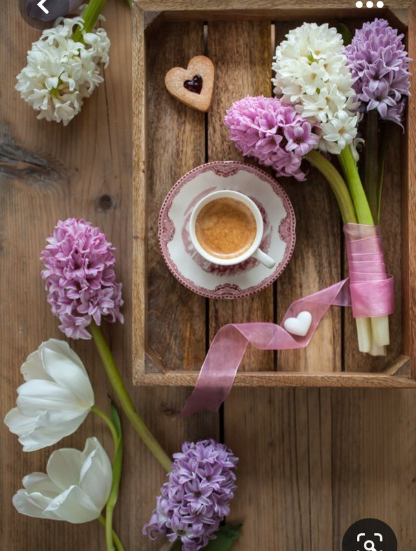 Screenshot_20230616_130037_Pinterest