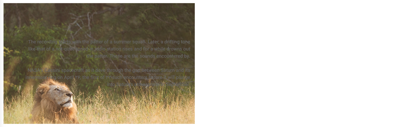 Image Content RTL bug