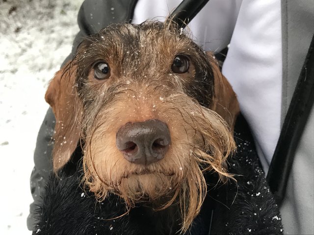 [Image: 80-FC63-B1-DCD4-43-E9-B86-D-91-CE477-FD7-F9.jpg]