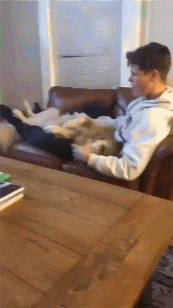 daily-gifdump-3428-25.gif