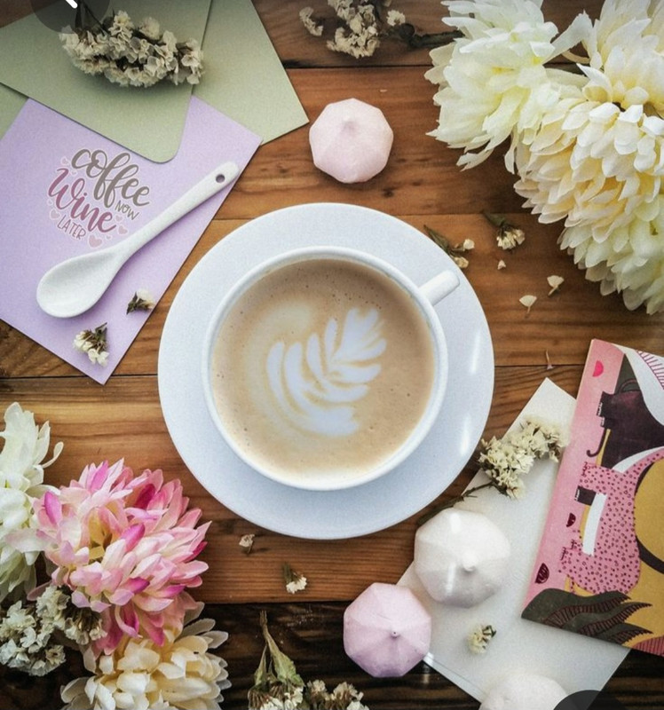 Screenshot_20230408_002406_Pinterest