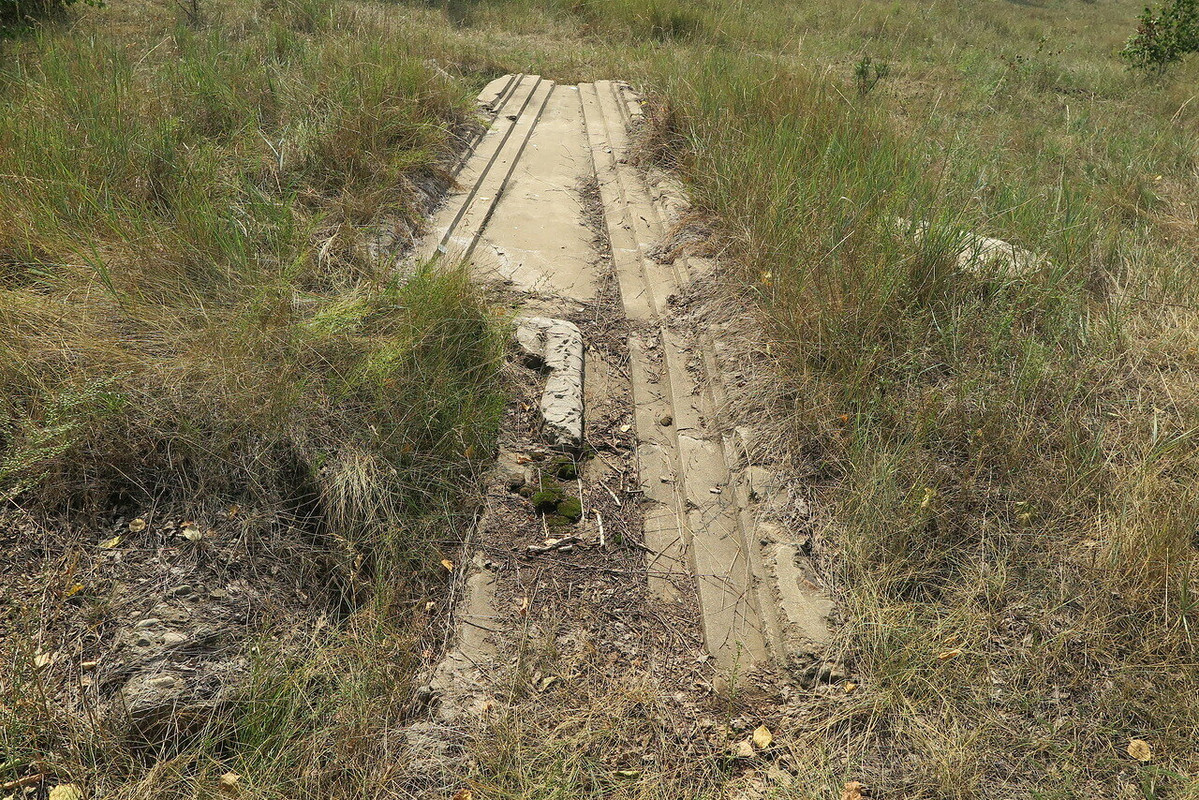 Посольская