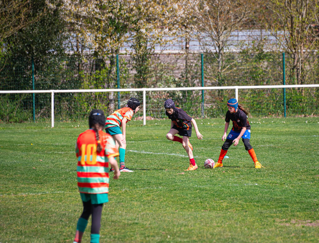 tournoi-de-latlantique-2026-adonis-griffon-47-55180401872-l