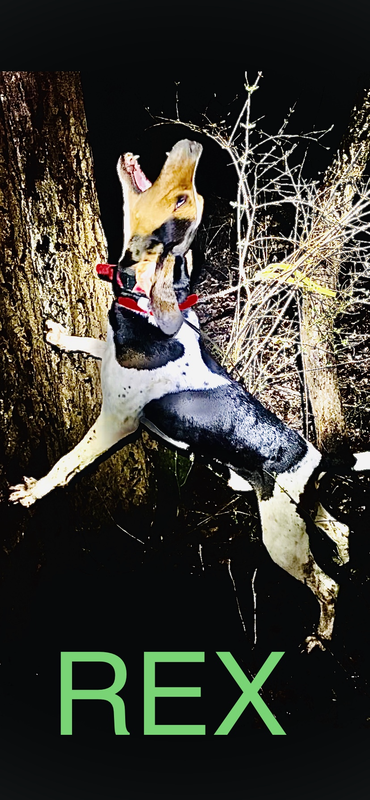 15786CFF-2681-4D2A-BE51-4DEFD3E67904