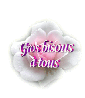 Infos - Page 16 52447