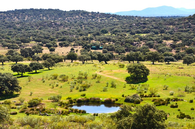 CANCHO DE VALDECASTILLO-14-6-2023 - Extremadura y sus pueblos -2010-2023 (44)