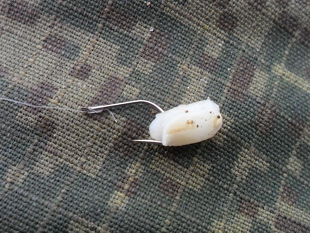 Добрянка 3.04.13. 4