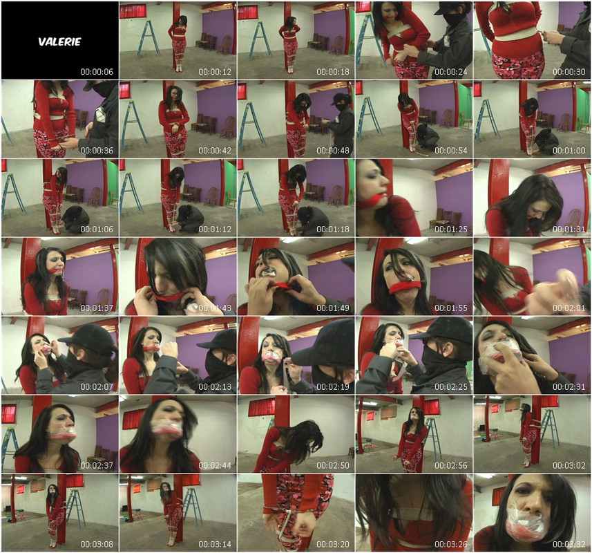 0894BD.wmv