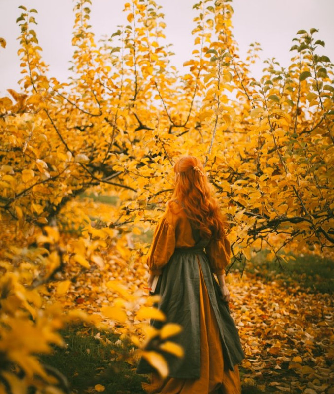 Screenshot_20221213-213114_Chrome