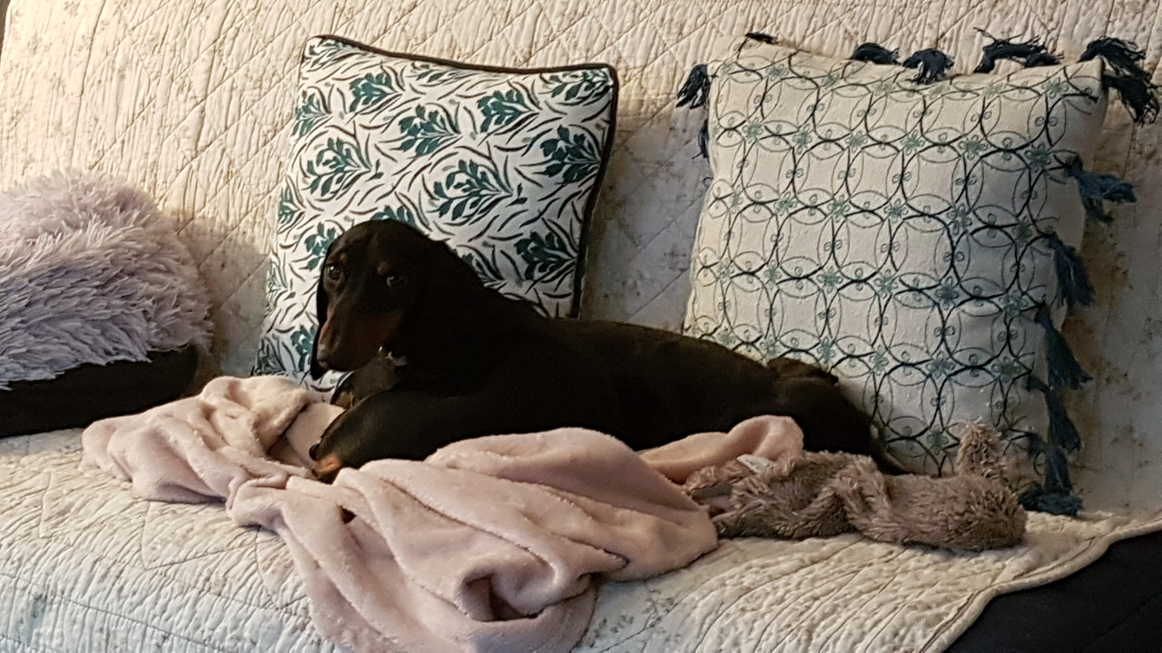 [Image: 20200925-194447.jpg]