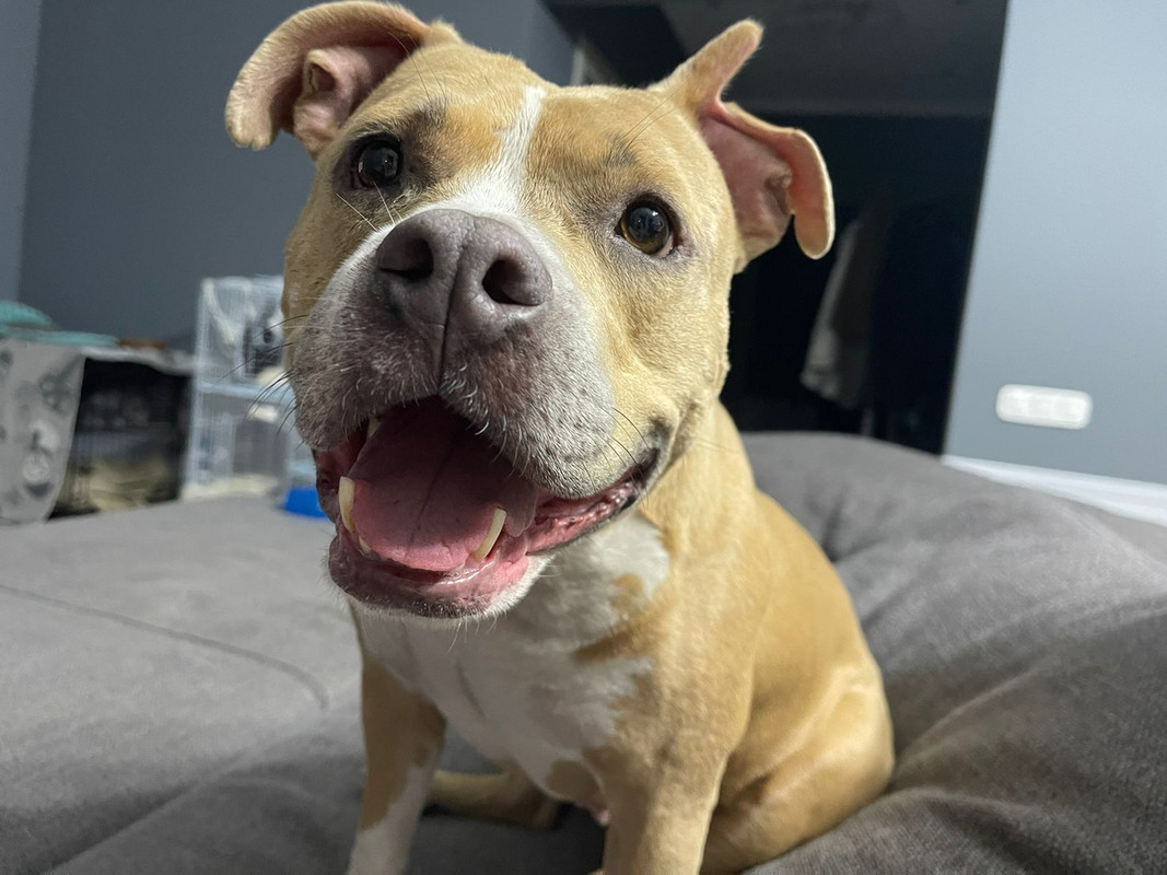 213FBE40-0A98-471D-A856-14287C460F5A