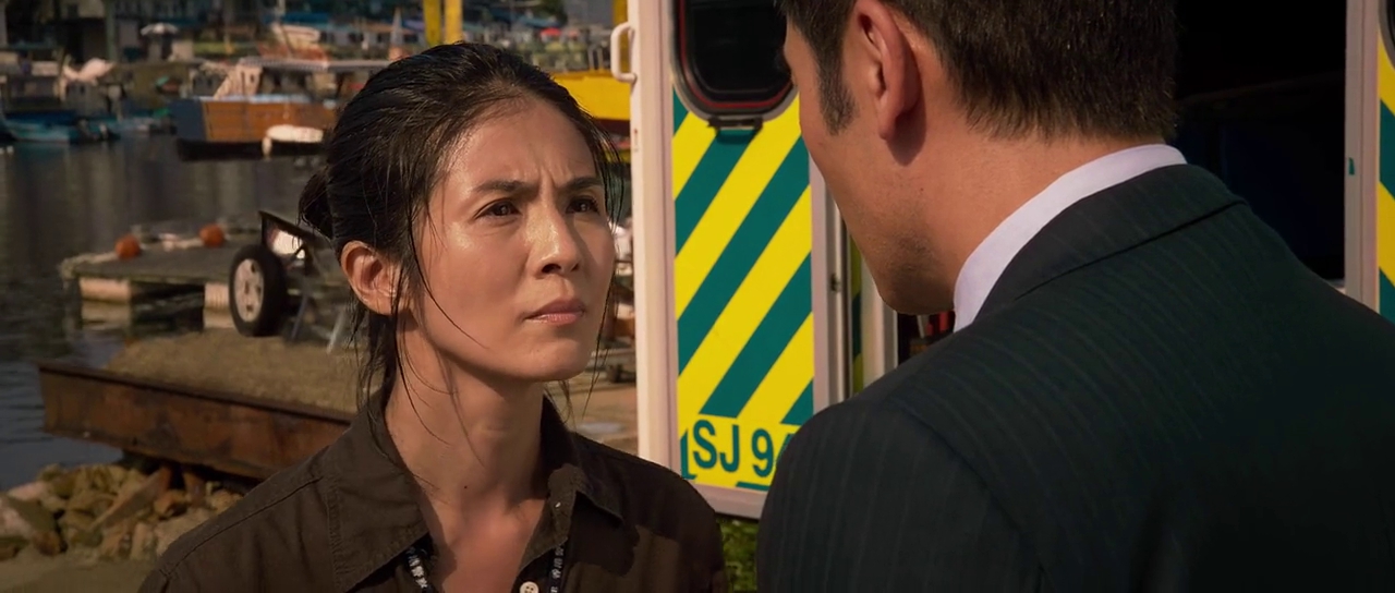 Kung Fu Jungle [2014] [720p] [BluRay] [x264] [MP3] [Hindi, Chinese] [Theater Plus]