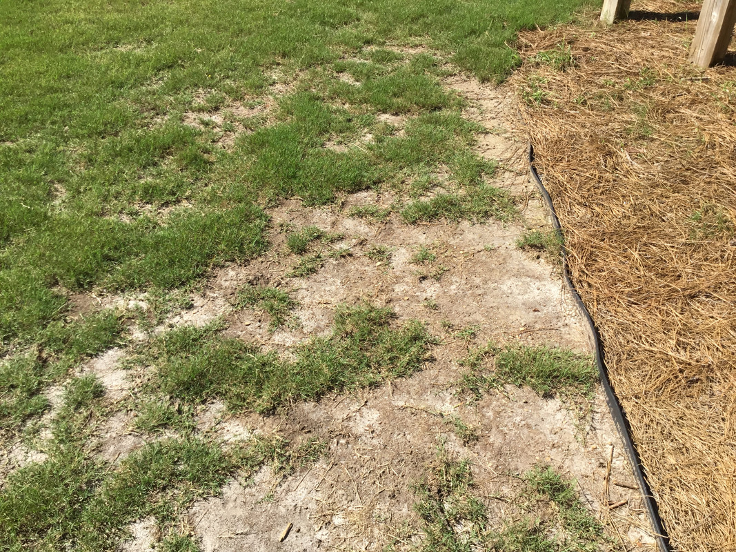 BAB0716B-C955-4520-BB96-88D89EF42808