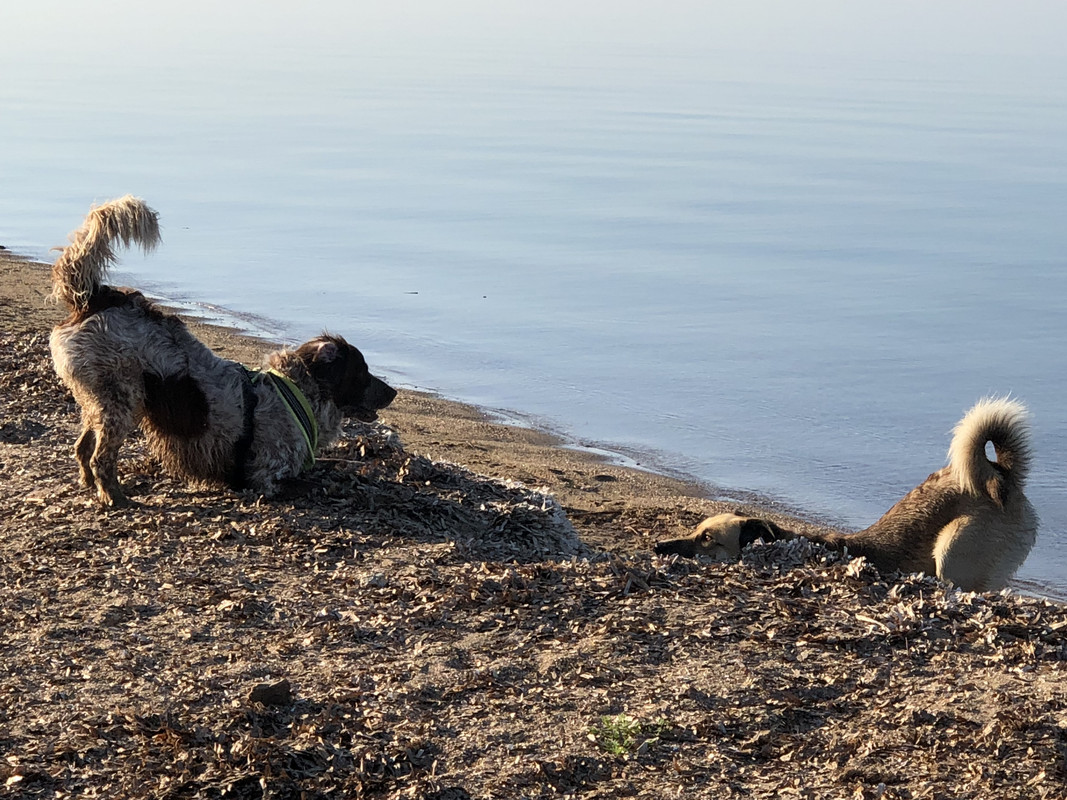 9817A051-856F-45F2-999C-E5D05F230B56