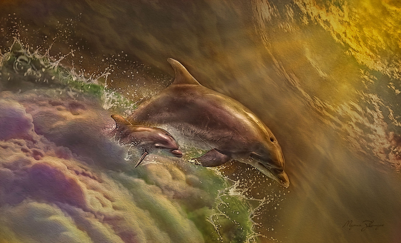 корел 2 подпись