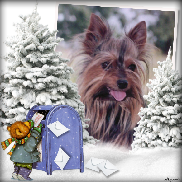 ZZZZZZZZ NOEL Amis 1