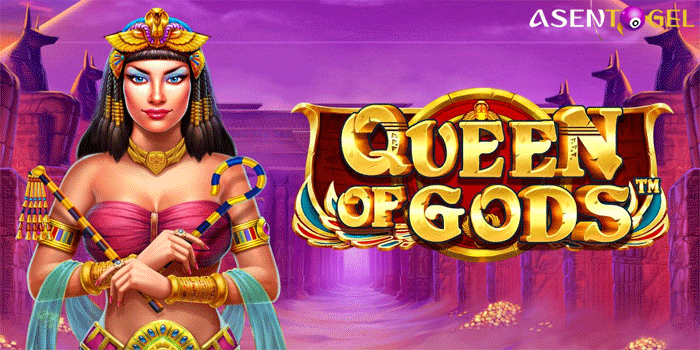 Slot Queen of Gods