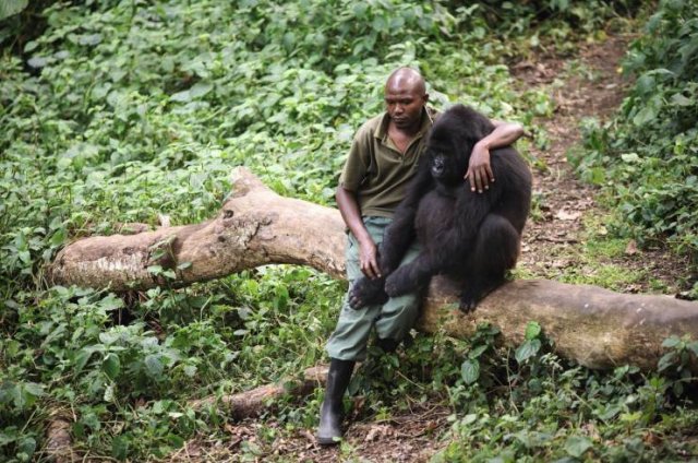 Fascinating-51