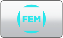 FEM