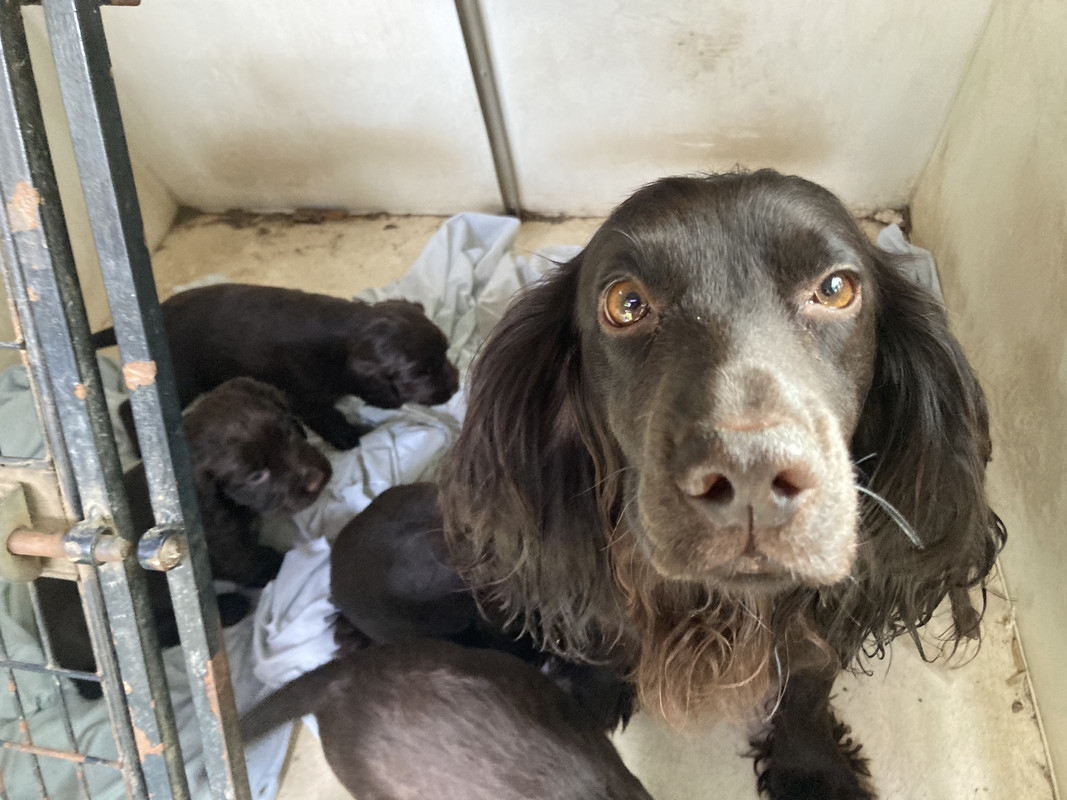 6704D8EA-A175-4E98-95CA-774C6BAA7E99