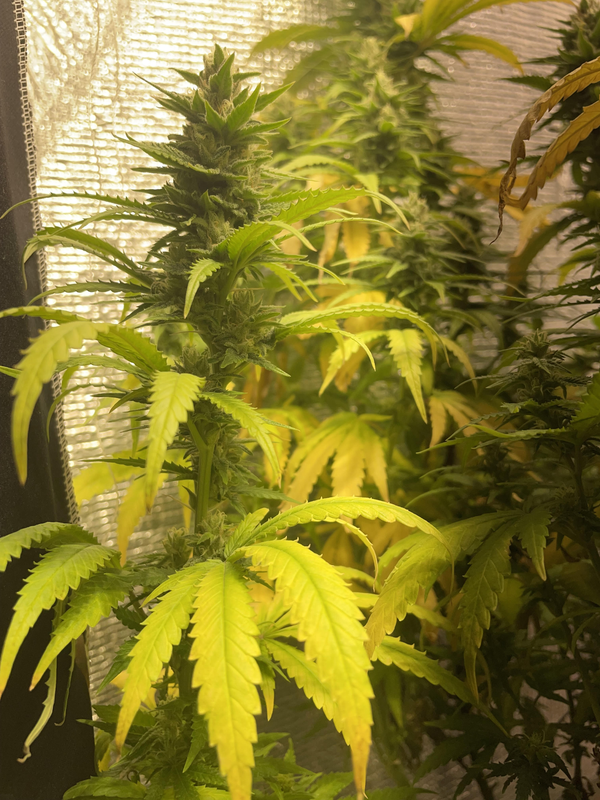 görsel 2026 03 05 181858622