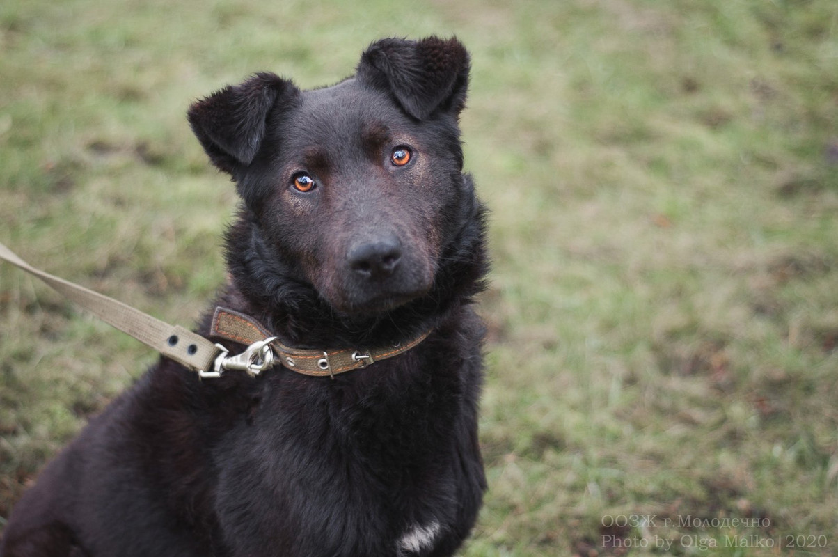 IMG-1b60a771d56d5d2848b5fab387bb2f52-V