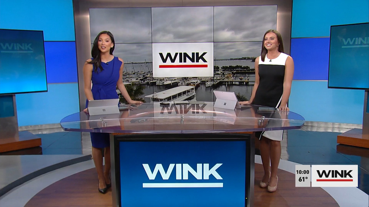 03.21 - 13.00.00 - WINK News at 9 00 a.m..ts_snapshot_01.03.20.032