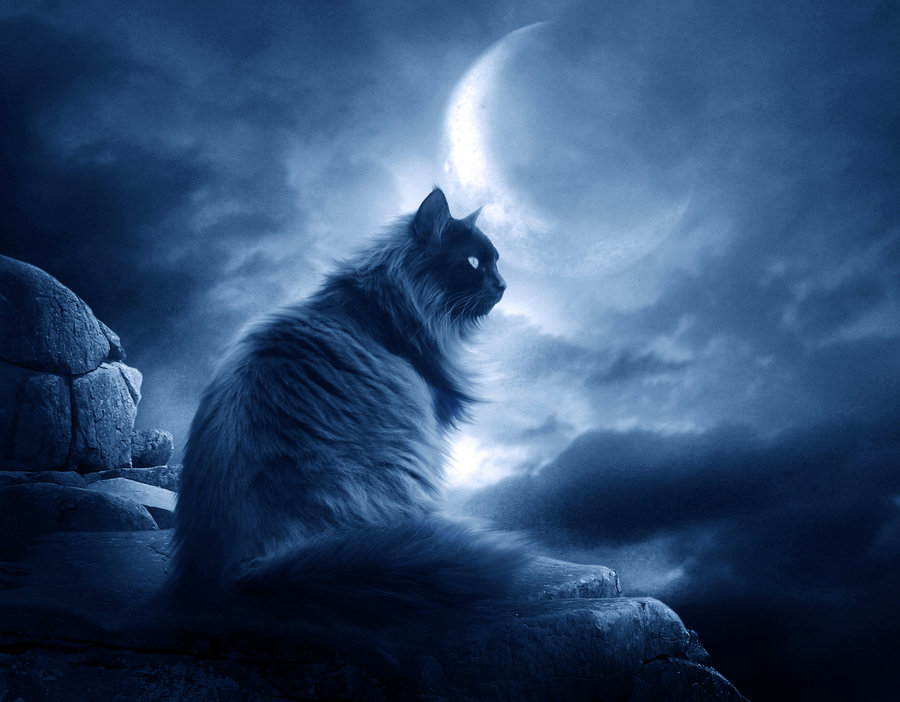 Missing-The-Moon-II-by-moroka323