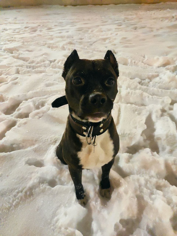 066BCDE8-024C-4A72-8E3A-A509017336EC