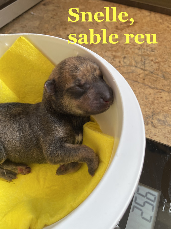 422ED3FB-9105-4206-87BA-F77250273C49_1_201_a