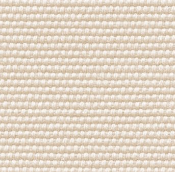 539661_393780940681530_545781651_n