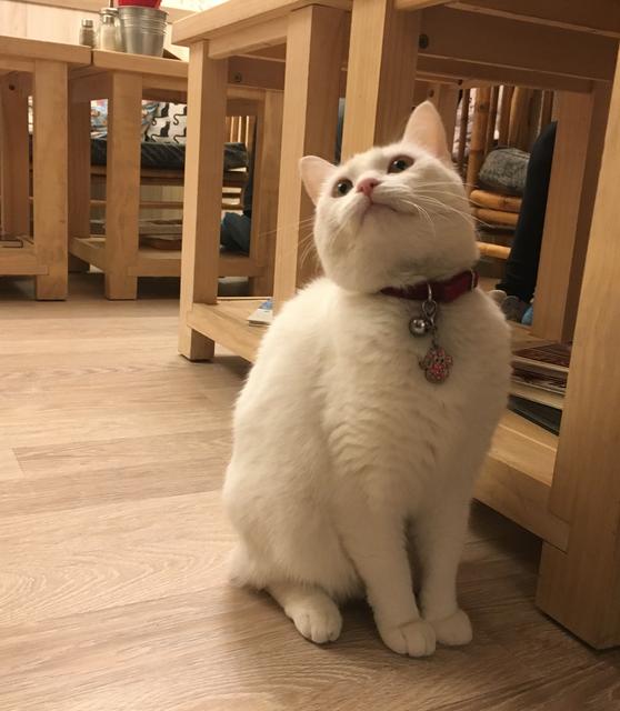 3_A6_D05_F7-5_ABD-4_A49-_B896-1_DD5_C3_A