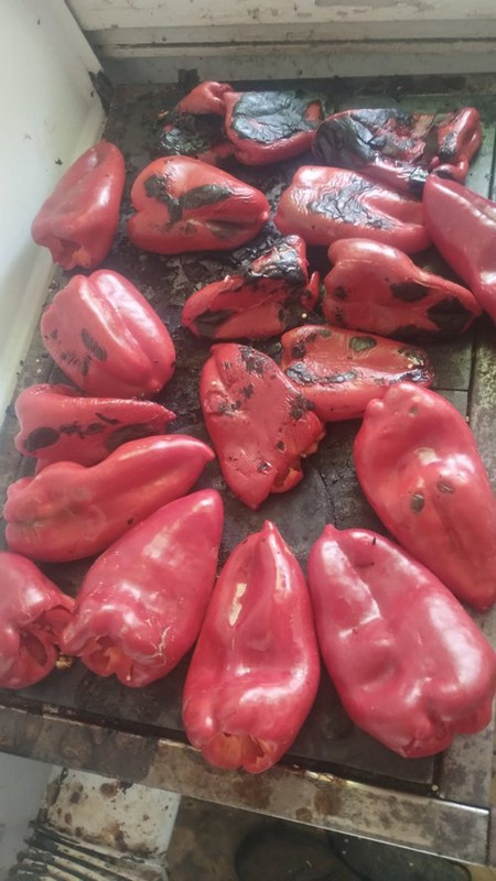 paprika.jpg