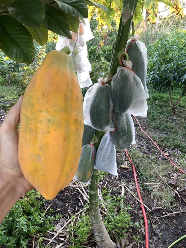 1B9F3855-2FB4-4251-9529-D2380E040706