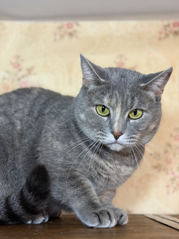 IMG 20251116 224754 260