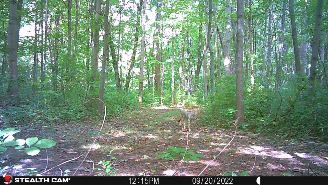 Resized_STC_0032_33968157757926