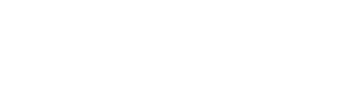 NetSpace Logo