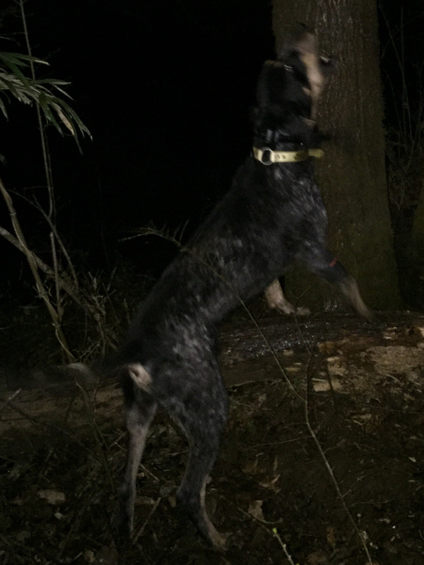 289D18AE-B86C-493A-BB11-33A76206BE2A