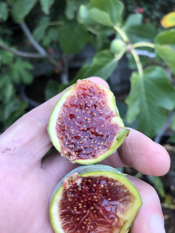 DE17128B-5A0C-4F3A-97AE-659A01D289DD