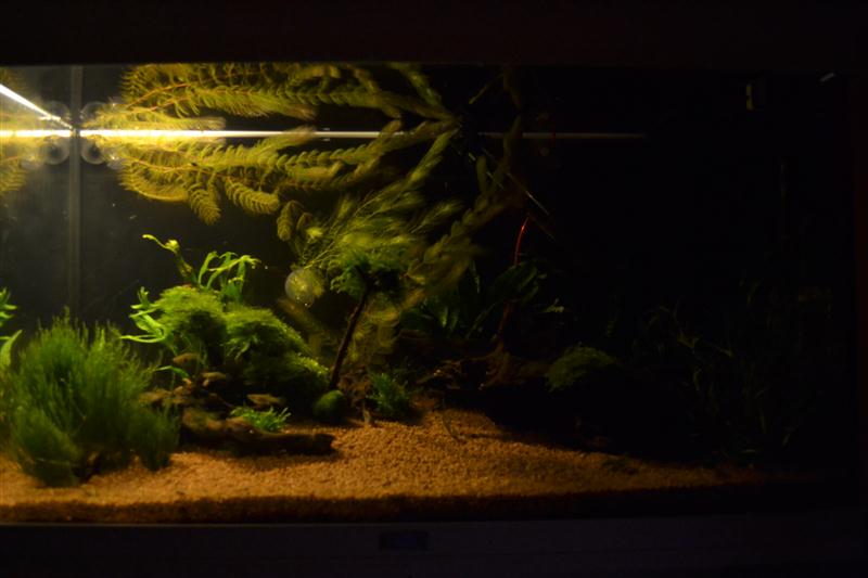 DSC_0101 (2) (Custom)