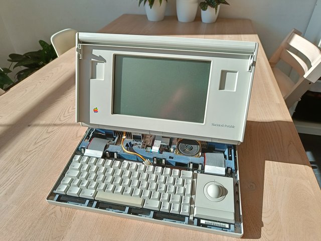 IMG20220318094936.jpg