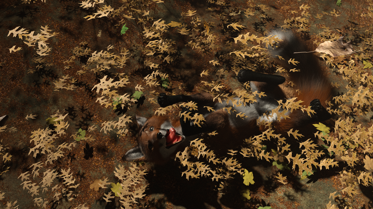 Joy in Autumn